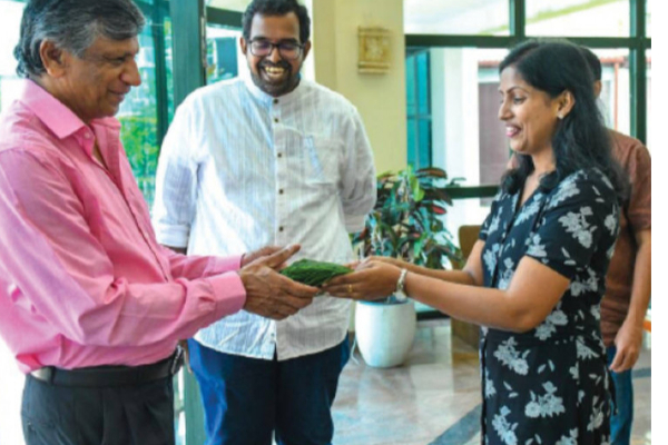 இளைஞர்களுக்கு அரசாங்க வேலைவாய்ப்பு - ஜனாதிபதி செயலகம் வெளியிட்ட தகவல் | Government Is Ready To Provide More Opportunities