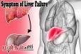 உடலில் கல்லீரல் பாதிக்கப்பட்டால் முதலில் காட்டும் முக்கிய அறிகுறிகள் என்ன?