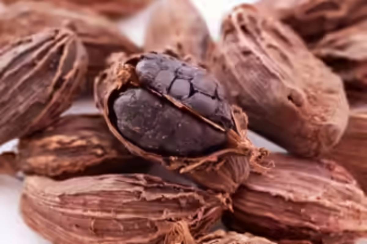 கருப்பு ஏலக்காய் சாப்பிடுவதால் என்ன பயன்? | What Are The Benefits Of Eating Black Cardamom