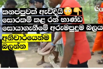 කනප්පුවක් ඇවිදියි. සොරකම් කරපු භාණ්ඩ සොයා ගැනීමේ අරුම පුදුම බලය. අනිවාර්යයෙන් බලන්න (VIDEO)