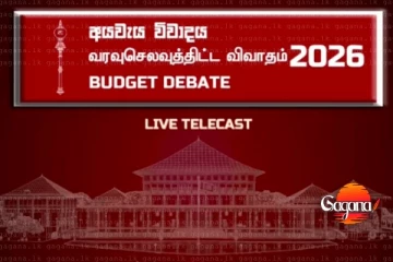 අද පාර්ලිමේන්තුවේ අයවැය කාරක සභා විවාදය ඇරඹේ [LIVE]