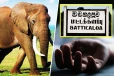 வயலுக்குக் காவல் காக்கச் சென்ற விவசாயிக்கு நேர்ந்த கதி!