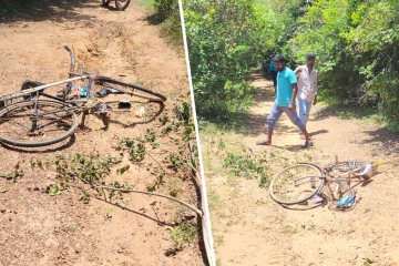 யானை தாக்குதலுக்கு உள்ளானவர் வைத்தியசாலையில்....
