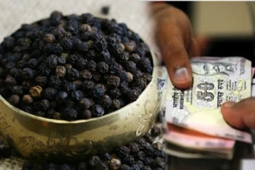 அதிகப்படியான கடன் தொல்லையிலிருந்து மீள வேண்டுமா? இந்த பரிகாரத்தை தினந்தோறும் செய்து பாருங்க