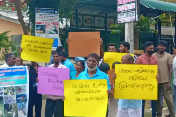 யாழில் முன்னெடுக்கப்பட்ட மற்றுமொரு நீதிக்கோரல் போராட்டம் | Protest Demanding Justice In Jaffna