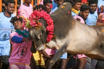 இலங்கையில் முதன்முறையாக ஜல்லிக்கட்டு போட்டி: வெற்றியாளருக்கு காத்திருக்கும் பரிசு