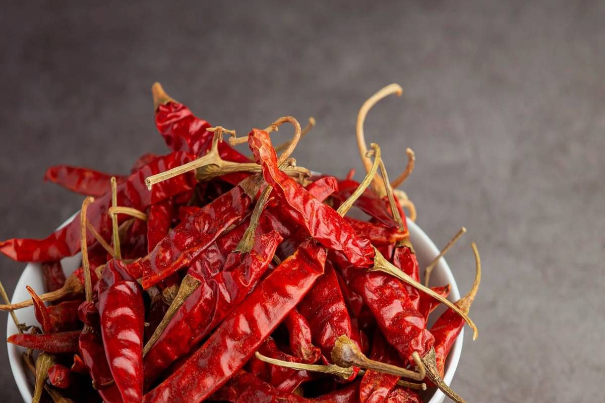 காநாடகாவின் கெம்பு சட்னி - ஒரு தடவை இப்படி செய்து பாருங்க | Karnataka Kempu Chutney Recipe காநாடகாவின் கெம்பு சட்னி - ஒரு தடவை இப்படி செய்து பாருங்க | Karnataka Kempu Chutney Recipe