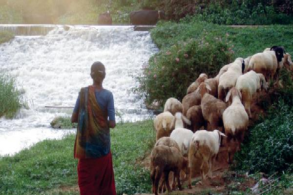 ஆடுமேய்க்க சென்ற பெண்ணுக்கு நேர்ந்த பயங்கரம்; அச்சத்தில் உறைந்த மக்கள் | The Youth Who Killed The Woman Shocking Incident