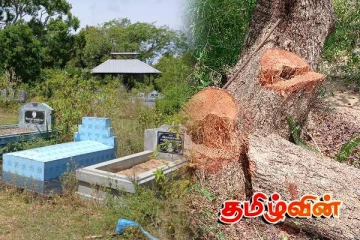 மயானத்தில் இருந்த கல்லறைகள் உடைக்கப்பட்டு பெறுமதி மிக்க மரங்கள் திருட்டு