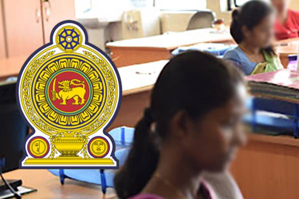 50000 புதிய வேலைவாய்ப்புகள் : அரசாங்கம் எடுத்துள்ள நடவடிக்கை - ஐபிசி தமிழ்