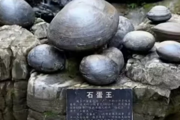 முட்டையிடும் பாறை ; 30 ஆண்டுகளுக்கு ஒருமுறை நிகழும் விசித்திரம்