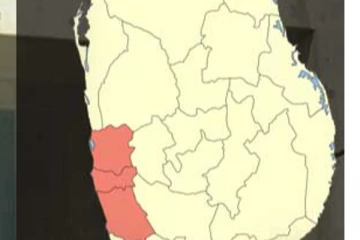 ඩෙංගු වසංගතය දරුණු අතට - වැඩිම දිස්ත්‍රික්කයන් මෙන්න..