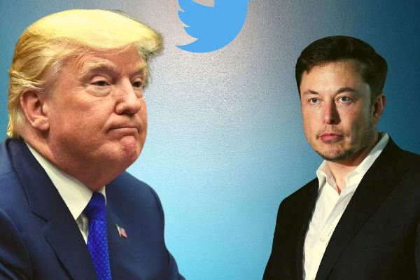 டொனால்டு டிரம்ப் தொடர்பில் வாக்கெடுப்பு நடத்தும் எலான் மஸ்க்! | Elon Musk Will Hold A Poll On Donald Trump