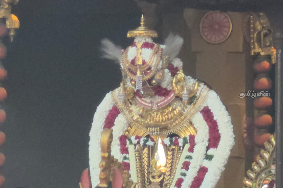 பக்தர்கள் புடைசூழ சிறப்பாக இடம்பெற்ற நல்லூர் வேட்டைத் திருவிழா! குதிரை வாகனத்தில் எழுந்தருளிய முருகப்பெருமான் | Nallur Kandasamy Temple Festival 2026 பக்தர்கள் புடைசூழ சிறப்பாக இடம்பெற்ற நல்லூர் வேட்டைத் திருவிழா! குதிரை வாகனத்தில் எழுந்தருளிய முருகப்பெருமான் | Nallur Kandasamy Temple Festival 2026