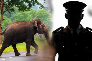 காட்டு யானை தாக்கி சிவில் அதிகாரி உயிரிழப்பு