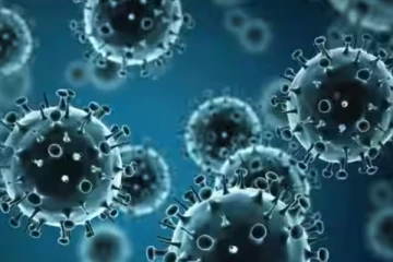 ඉන්දියාවම බිය ගන්වමින් ඉන්දියාව පුරා ශීඝ්‍රයෙන් ව්‍යාප්ත වන නව වෛරසය..