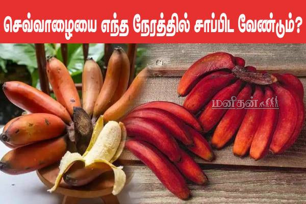 Sevalai செவ்வாழை பழத்தை சாப்பிட சரியான நேரம் எது? கட்டாயம் தெரிஞ்சிக்கோங்க