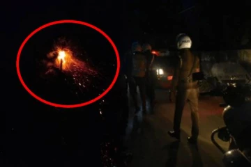 யாழ் இளவாலையில் தீயில் எரிந்த நாசமாகிய பனைகள்!
