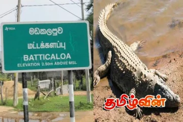 மட்டக்களப்பில் மக்களை அச்சுறுத்தும் இராட்சத முதலை! விடுக்கப்பட்டுள்ள கோரிக்கை