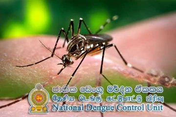 யாழ்ப்பாண மாவட்டத்தில் டெங்கு கட்டுப்பாட்டு களப்பரிசோதனை