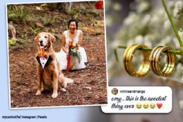 கல்யாணத்துக்கு முன் கணவருக்கு பதிலாக நாயுடன் Photoshoot: இணையத்தை அதிரவைத்த பெண்