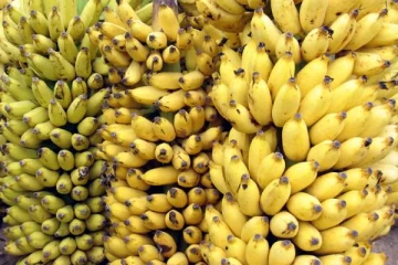 உங்களுக்கு இந்த பிரச்சனை இருக்கா? மறந்து கூட வாழைப்பழம் சாப்பிடாதீங்க