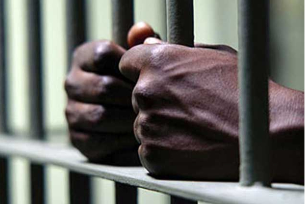 23 கைபேசிகள் திருட்டு - 23 வயது இளைஞர் கைது! யாழில் சம்பவம் | Theft 23 Mobile Phones 23 Year Old Youth Arrested