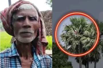 மனைவியுடன் சண்டை., பனை மர உச்சியில் வாழ தொடங்கிய கணவன்..