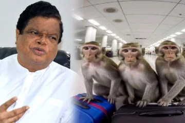 சீனாவுக்கு செல்லும் குரங்குகளுக்கும் அரசாங்கத்திற்கும் எந்த தொடர்பும் இல்லை!(Video)