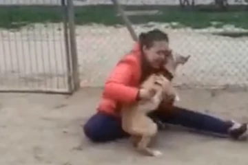 கதறி அழுத உரிமையாளர்...5 வருடங்களுக்கு பிறகு தன்னை வளர்த்தவருடன் இணைந்த நாய்