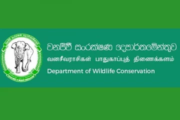 வேட்டைக்குச் சென்ற குழுக்களை அதிரடியாகக் கைதுசெய்த வனஜீவராசிகள் திணைக்களத்தினர் - புத்தளத்தில் சம்பவம்