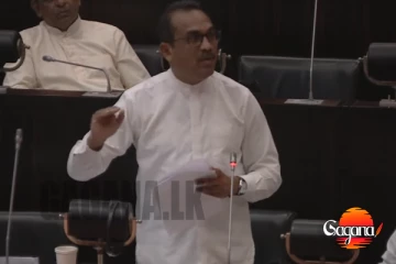 දියුණු ආරක්ෂක උපාංග සහිත අලුත් වාහන අංක තහඩු නිකුත් කරන දවස - බිමල්