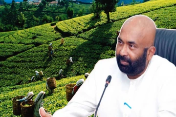 குறைவடையும் இளம் பெருந்தோட்ட தொழிலாளர்கள்: ரஞ்சித் சியம்பலாபிட்டிய சுட்டிக்காட்டு