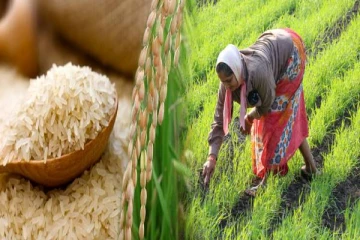 அரிசி இறக்குமதி தொடர்பில் கவலை வெளியிட்டுள்ள விவசாயிகள்