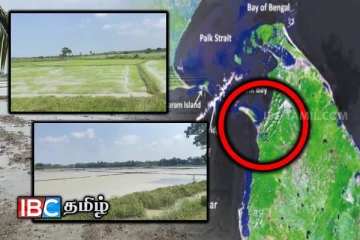 சீரற்ற காலநிலை : மன்னார் மாவட்ட கமநல சேவை நிலையம் வெளியிட்டுள்ள தகவல்