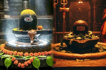 பலரும் அறிந்திடாத சக்திவாய்ந்த லிங்கம்- மார்கழி மாதத்தில் மட்டுமே காணலாம்