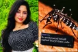 டெங்கு தீவிரத்தால் உயிரிழந்த பல்கலைக்கழக மாணவி!