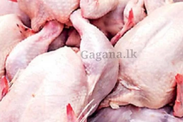 කුකුළු මස් කාලා හමාරයි?. නොහිතපු දෙයක්.. ඉදිරි දින කිහිපය තුළ වෙන්න යයි..