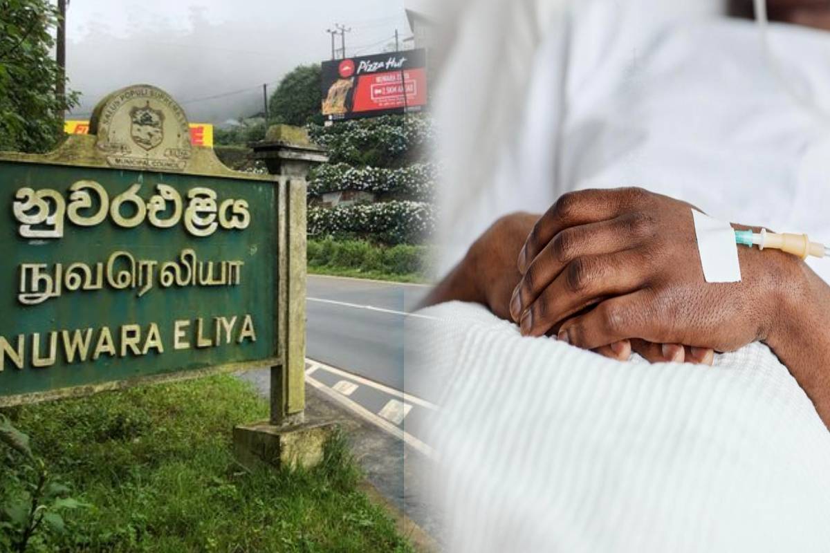 நுவரெலியாவில் உணவு ஒவ்வாமையினால் 8 பேர் வைத்தியசாலையில் அனுமதி..! | 8 People Admitted Hospital Due To Food Allergies நுவரெலியாவில் உணவு ஒவ்வாமையினால் 8 பேர் வைத்தியசாலையில் அனுமதி..! | 8 People Admitted Hospital Due To Food Allergies