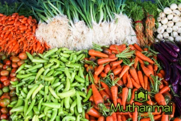 மரக்கறிகளின் விலையில் ஏற்பட்டுள்ள மாற்றம்