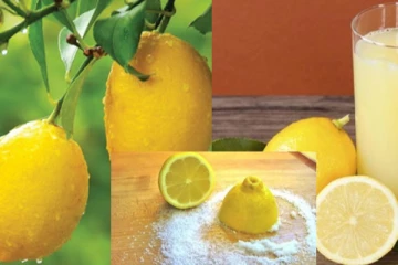 எலுமிச்சை சாறில் ஏன் உப்பு கலந்து குடிக்க வேண்டும் தெரியுமா? கட்டாயம் தெரிந்து கொள்ளுங்கள்