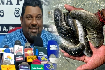 கடலட்டை பண்ணைகள் விரிவாக்கம் தொடர்பில் ஸ்ரீகாந்த் விடுத்துள்ள அறிவுறுத்தல்