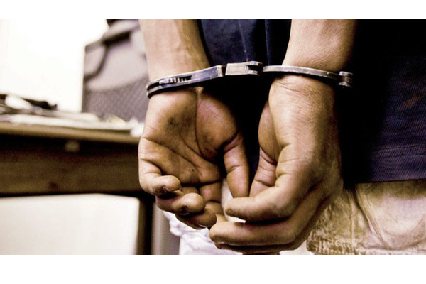 மரம் கடத்திய அறுவர் கைது | Persons Arrested In The Crime Of Smuggling Wood