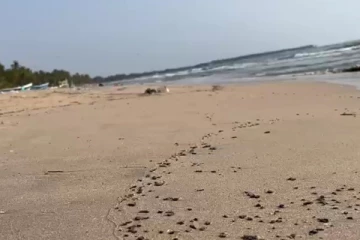 திருகோணமலை கடற்கரையில் குவிந்த விசித்திரமான பொருள்!