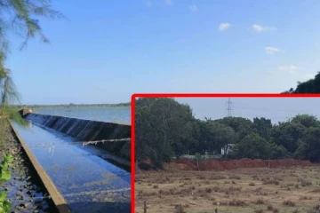 கிளிநொச்சி கனகாம்பிகைக் குளத்தின் அவல நிலை... காலப்போக்கில் காணாமல் போகப் போகிறதா?