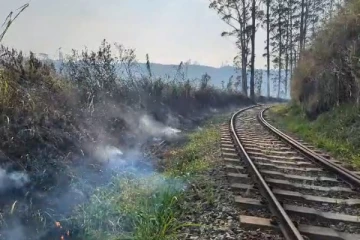 புகையிரத பாதையை அண்டிய பகுதிகளில் தீப்பரவல் ; பெரும் பகுதிகள் நாசம்