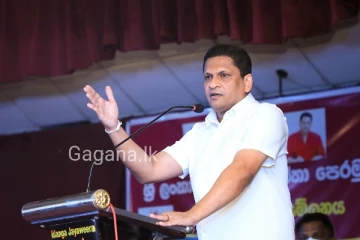 රනිල්ට සම කළ හැකි කෙනෙක් නැහැ. නිමල් ලන්සාගෙන් ප්‍රකාශයක්..