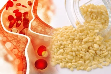 வாரத்திற்கு 3 முறை இந்த பருப்பை சாப்பிடுங்க..! கெட்ட கொலஸ்ட்ரால் இருமடங்கு வேகத்தில் குறையுமாம்