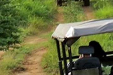 වනෝද්‍යානයක් තුළ වෙඩි හුවමාරුවක්