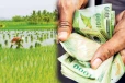 டிட்வா சூறாவளியால் பாதிக்கப்பட்ட விவசாயிகளுக்கு இழப்பீடு